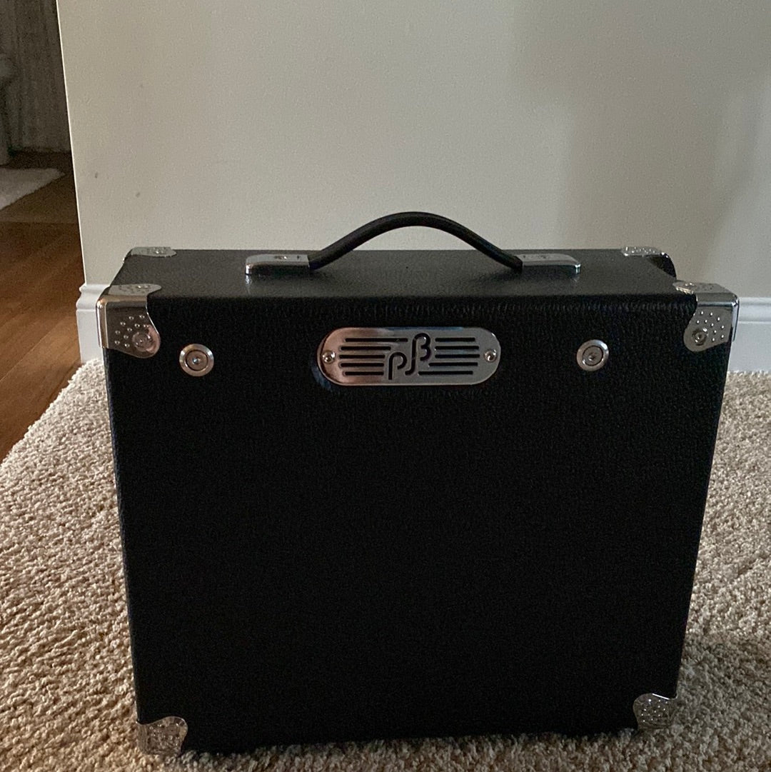 Phil Jones Bass Briefcase Amp